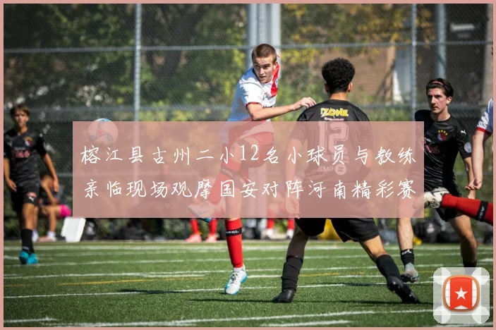 榕江县古州二小12名小球员与教练亲临现场观摩国安对阵河南精彩赛事