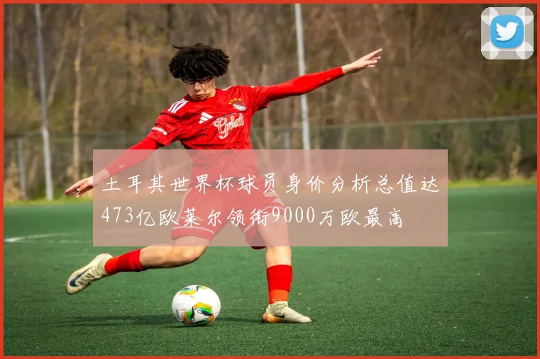 土耳其世界杯球员身价分析总值达473亿欧莱尔领衔9000万欧最高